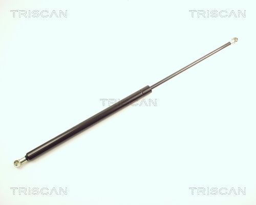 Dujinė spyruoklė, bagažinė TRISCAN 8710 28211