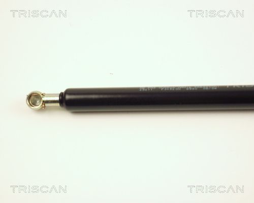 Dujinė spyruoklė, bagažinė TRISCAN 8710 28211