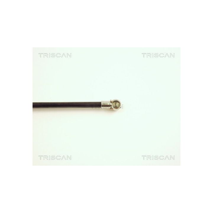 Dujinė spyruoklė, bagažinė TRISCAN 8710 28211