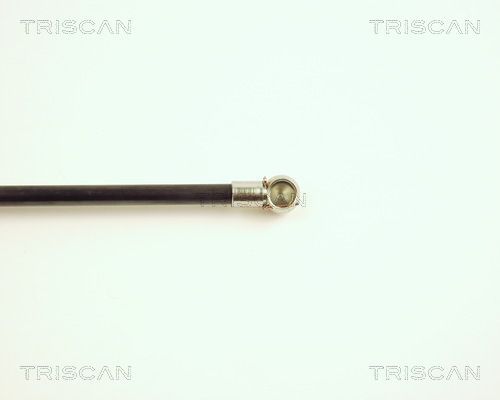 Dujinė spyruoklė, bagažinė TRISCAN 8710 28211
