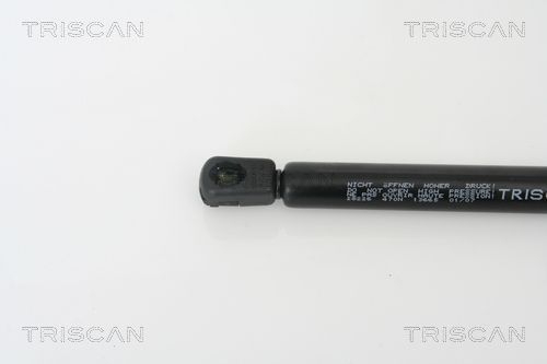 Dujinė spyruoklė, bagažinė TRISCAN 8710 28226