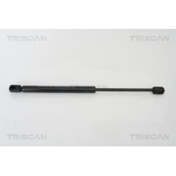 Dujinė spyruoklė, bagažinė TRISCAN 8710 28227