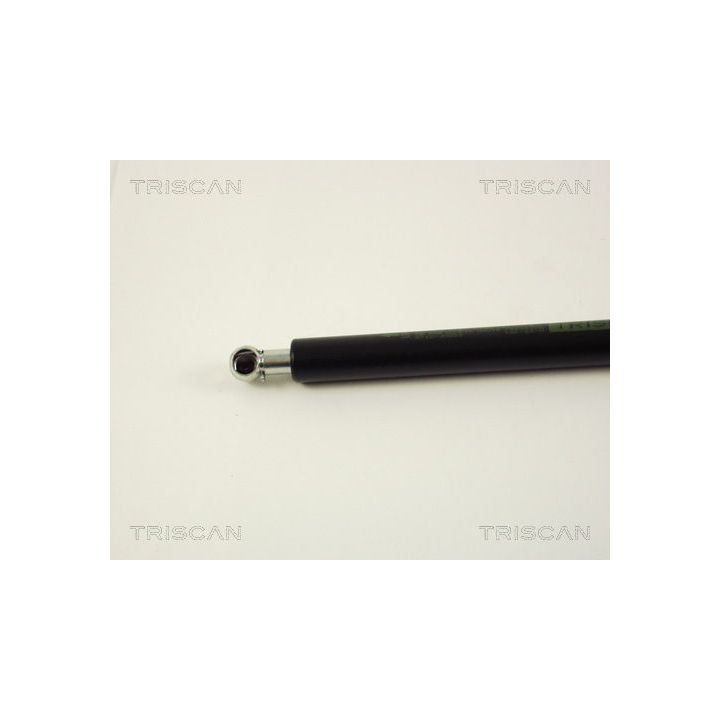 Dujinė spyruoklė, bagažinė TRISCAN 8710 29202