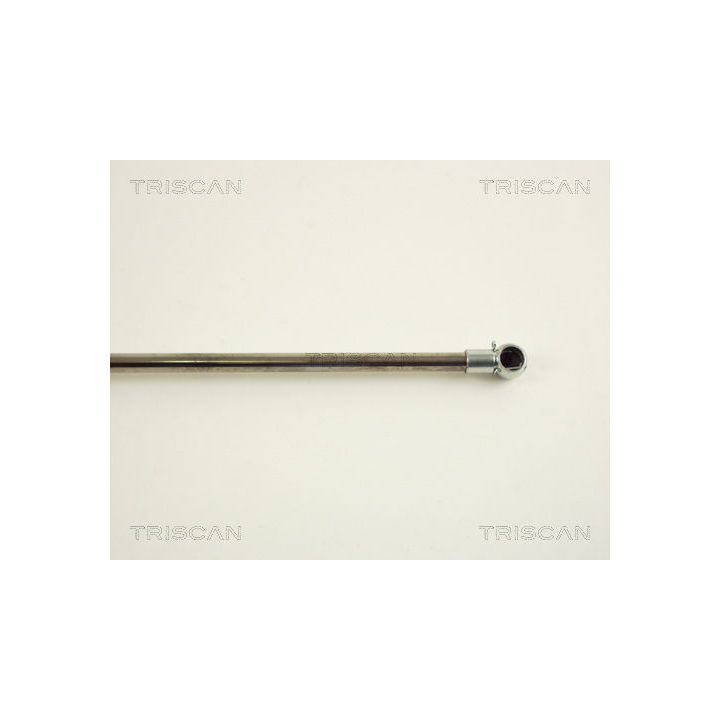 Dujinė spyruoklė, bagažinė TRISCAN 8710 29202