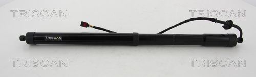 Dujinė spyruoklė, bagažinė TRISCAN 8710 292193