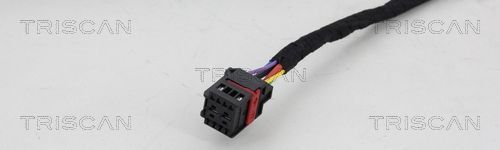 Dujinė spyruoklė, bagažinė TRISCAN 8710 292193