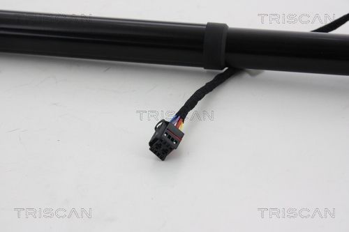 Dujinė spyruoklė, bagažinė TRISCAN 8710 292193