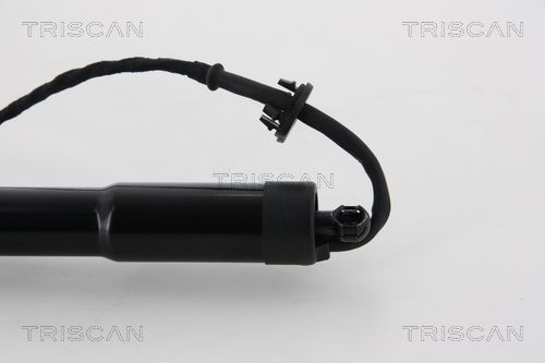 Dujinė spyruoklė, bagažinė TRISCAN 8710 292193