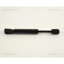 Dujinė spyruoklė, bagažinė TRISCAN 8710 29226
