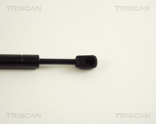Dujinė spyruoklė, bagažinė TRISCAN 8710 29226