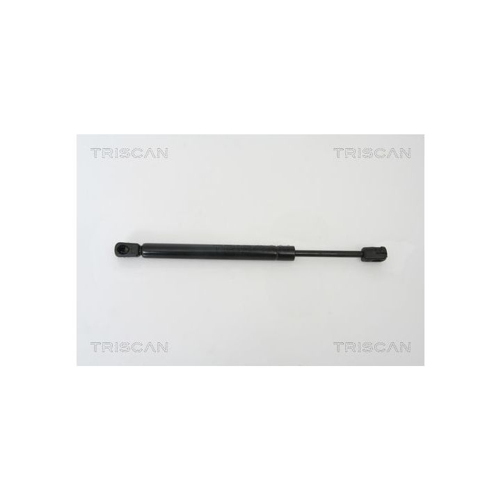 Dujinė spyruoklė, bagažinė TRISCAN 8710 29260