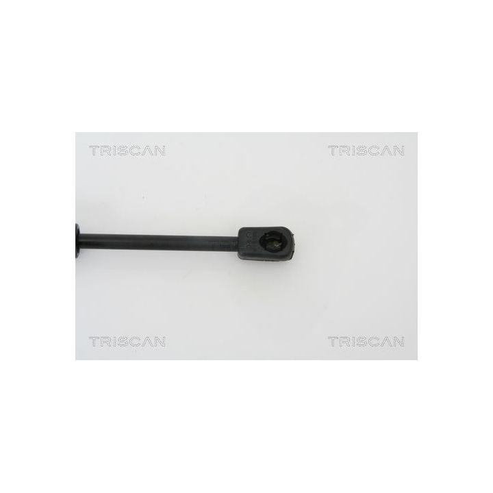 Dujinė spyruoklė, bagažinė TRISCAN 8710 29260