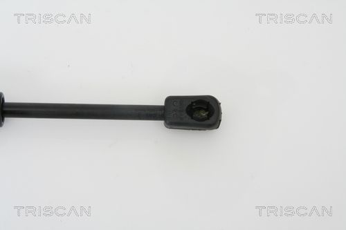 Dujinė spyruoklė, bagažinė TRISCAN 8710 29260