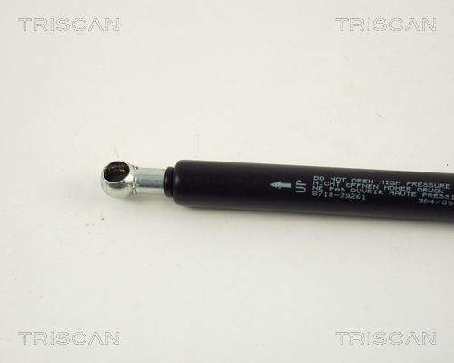 Dujinė spyruoklė, bagažinė TRISCAN 8710 29261