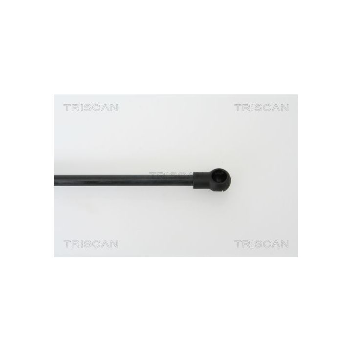 Dujinė spyruoklė, bagažinė TRISCAN 8710 29266