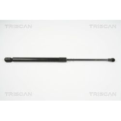 Dujinė spyruoklė, bagažinė TRISCAN 8710 29281