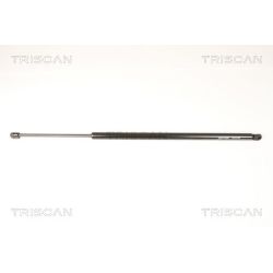 Dujinė spyruoklė, bagažinė TRISCAN 8710 29295