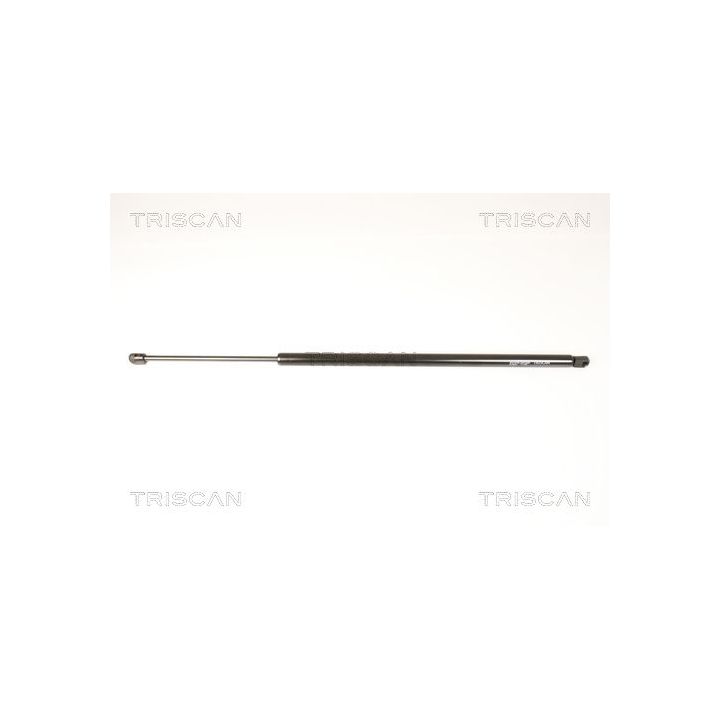 Dujinė spyruoklė, bagažinė TRISCAN 8710 29295