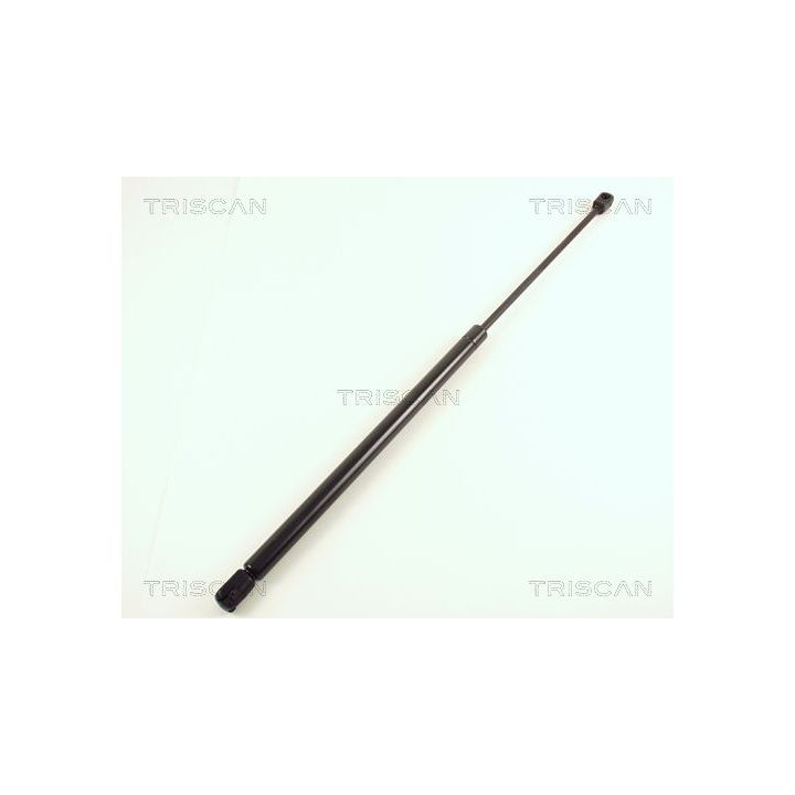 Dujinė spyruoklė, bagažinė TRISCAN 8710 38203