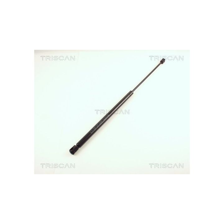 Dujinė spyruoklė, bagažinė TRISCAN 8710 38208