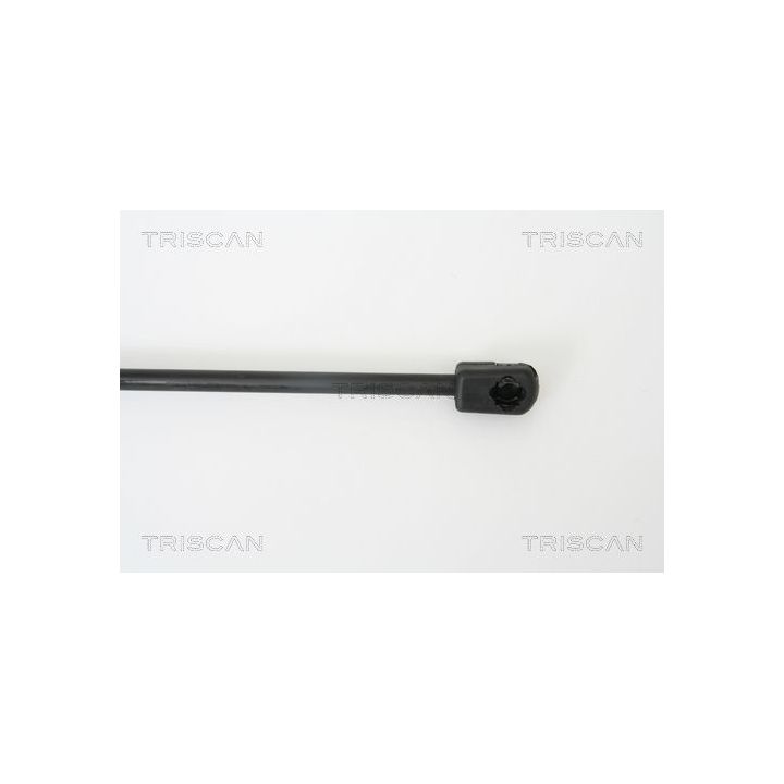 Dujinė spyruoklė, bagažinė TRISCAN 8710 38218