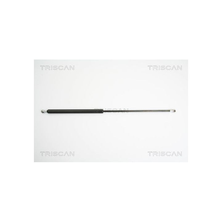 Dujinė spyruoklė, bagažinė TRISCAN 8710 38221