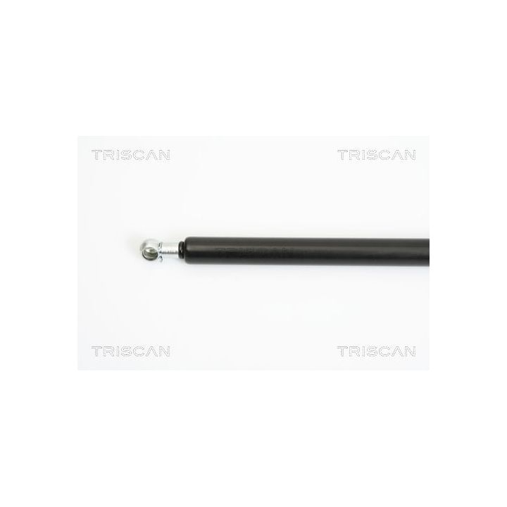 Dujinė spyruoklė, bagažinė TRISCAN 8710 38221