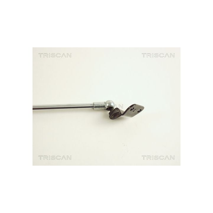 Dujinė spyruoklė, bagažinė TRISCAN 8710 40206