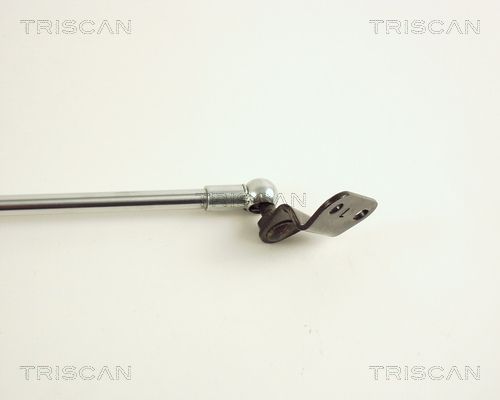 Dujinė spyruoklė, bagažinė TRISCAN 8710 40206