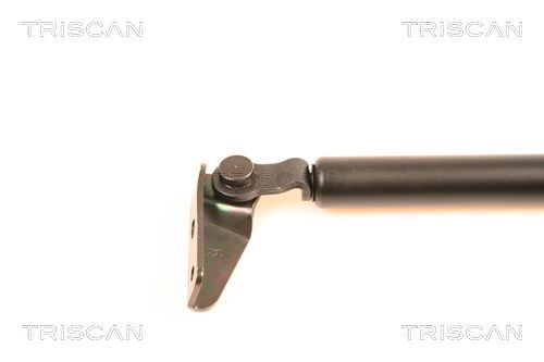 Dujinė spyruoklė, bagažinė TRISCAN 8710 40210