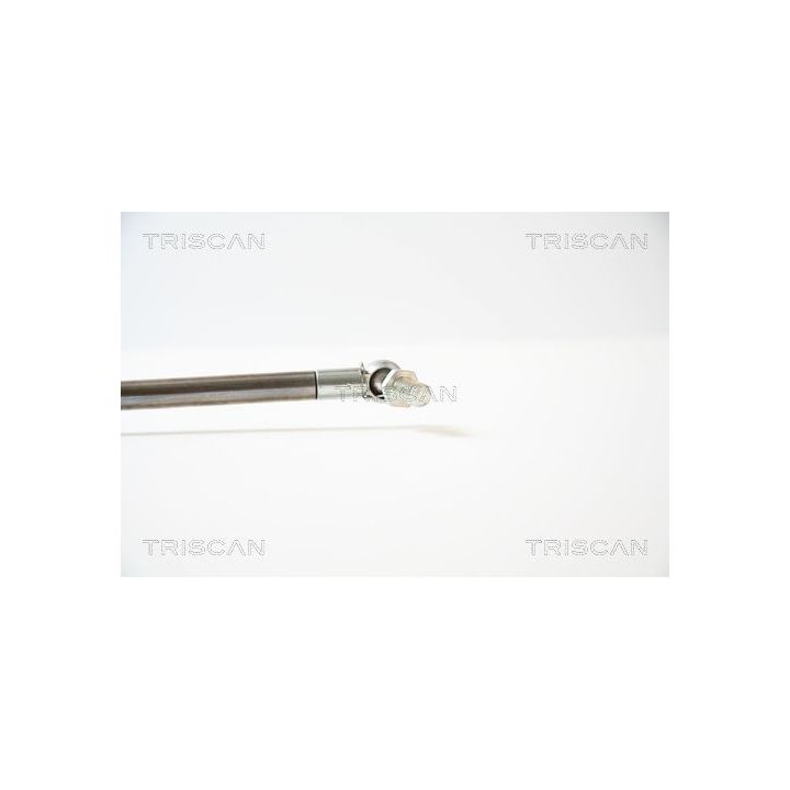 Dujinė spyruoklė, bagažinė TRISCAN 8710 40210