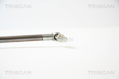 Dujinė spyruoklė, bagažinė TRISCAN 8710 40210