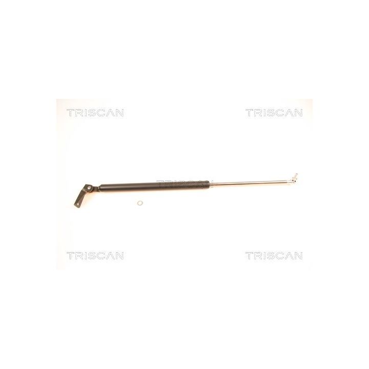 Dujinė spyruoklė, bagažinė TRISCAN 8710 40211