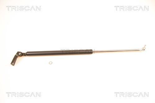 Dujinė spyruoklė, bagažinė TRISCAN 8710 40211