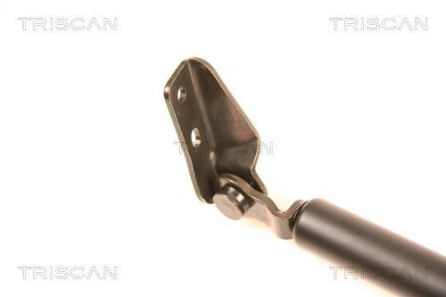 Dujinė spyruoklė, bagažinė TRISCAN 8710 40211