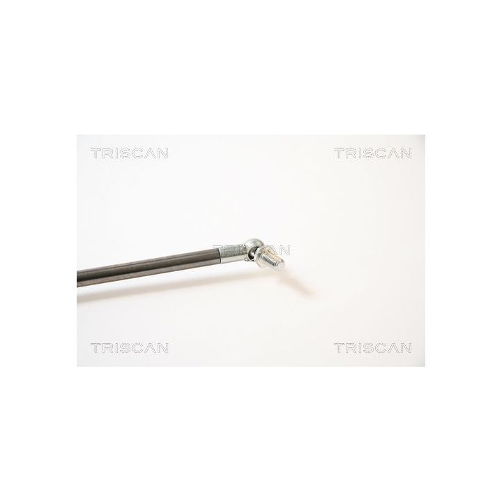 Dujinė spyruoklė, bagažinė TRISCAN 8710 40211