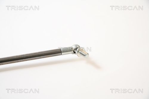 Dujinė spyruoklė, bagažinė TRISCAN 8710 40211