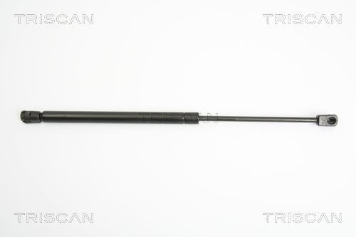 Dujinė spyruoklė, bagažinė TRISCAN 8710 42236