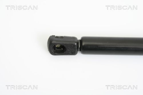 Dujinė spyruoklė, bagažinė TRISCAN 8710 42236