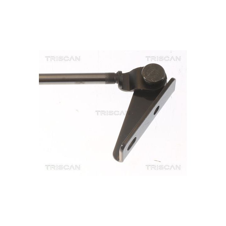 Dujinė spyruoklė, bagažinė TRISCAN 8710 43204