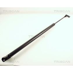 Dujinė spyruoklė, bagažinė TRISCAN 8710 43205