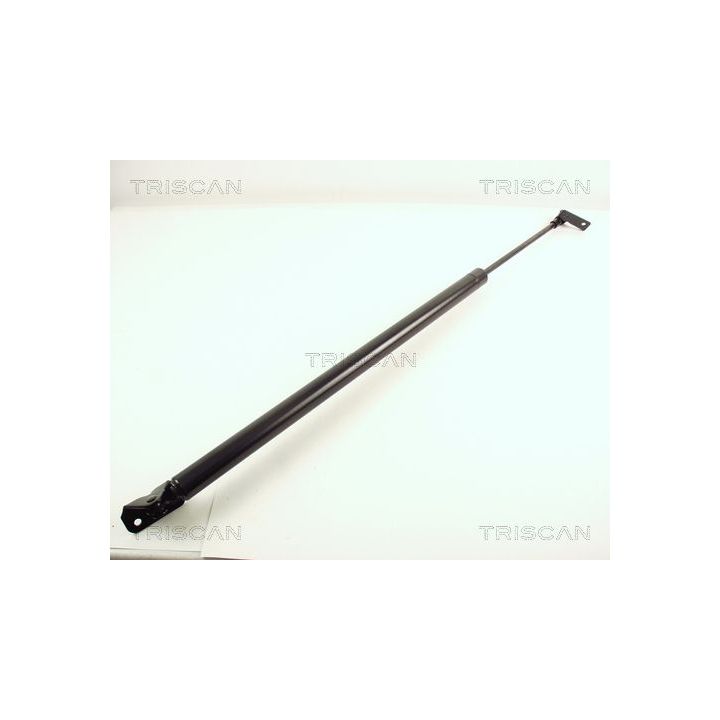 Dujinė spyruoklė, bagažinė TRISCAN 8710 43205