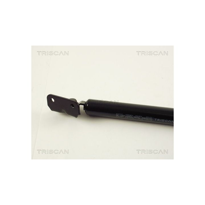 Dujinė spyruoklė, bagažinė TRISCAN 8710 43205