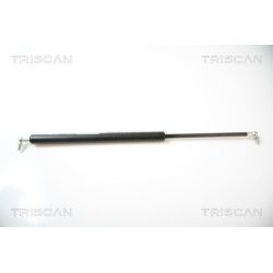 Dujinė spyruoklė, bagažinė TRISCAN 8710 43208