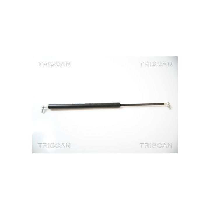 Dujinė spyruoklė, bagažinė TRISCAN 8710 43208