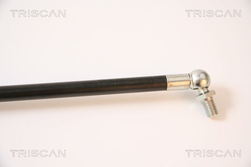 Dujinė spyruoklė, bagažinė TRISCAN 8710 43208
