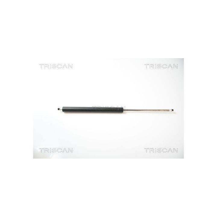 Dujinė spyruoklė, bagažinė TRISCAN 8710 43209