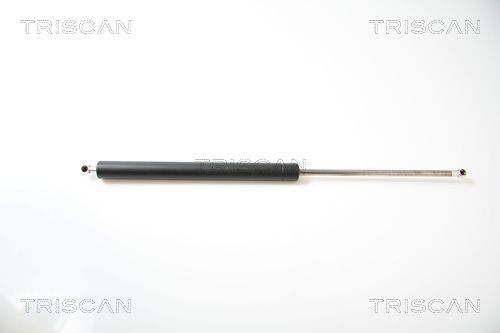 Dujinė spyruoklė, bagažinė TRISCAN 8710 43209