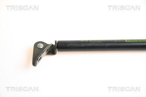 Dujinė spyruoklė, bagažinė TRISCAN 8710 43211