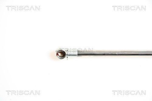 Dujinė spyruoklė, bagažinė TRISCAN 8710 43211